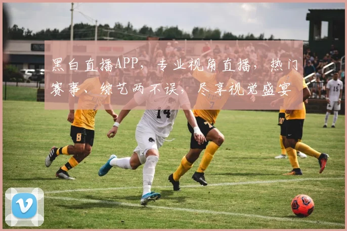 黑白直播APP，专业视角直播，热门赛事、综艺两不误，尽享视觉盛宴