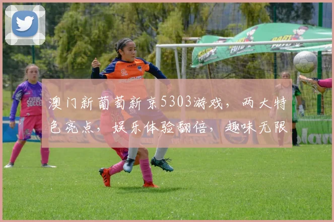 澳门新葡萄新京5303游戏，两大特色亮点，娱乐体验翻倍，趣味无限逗乐中